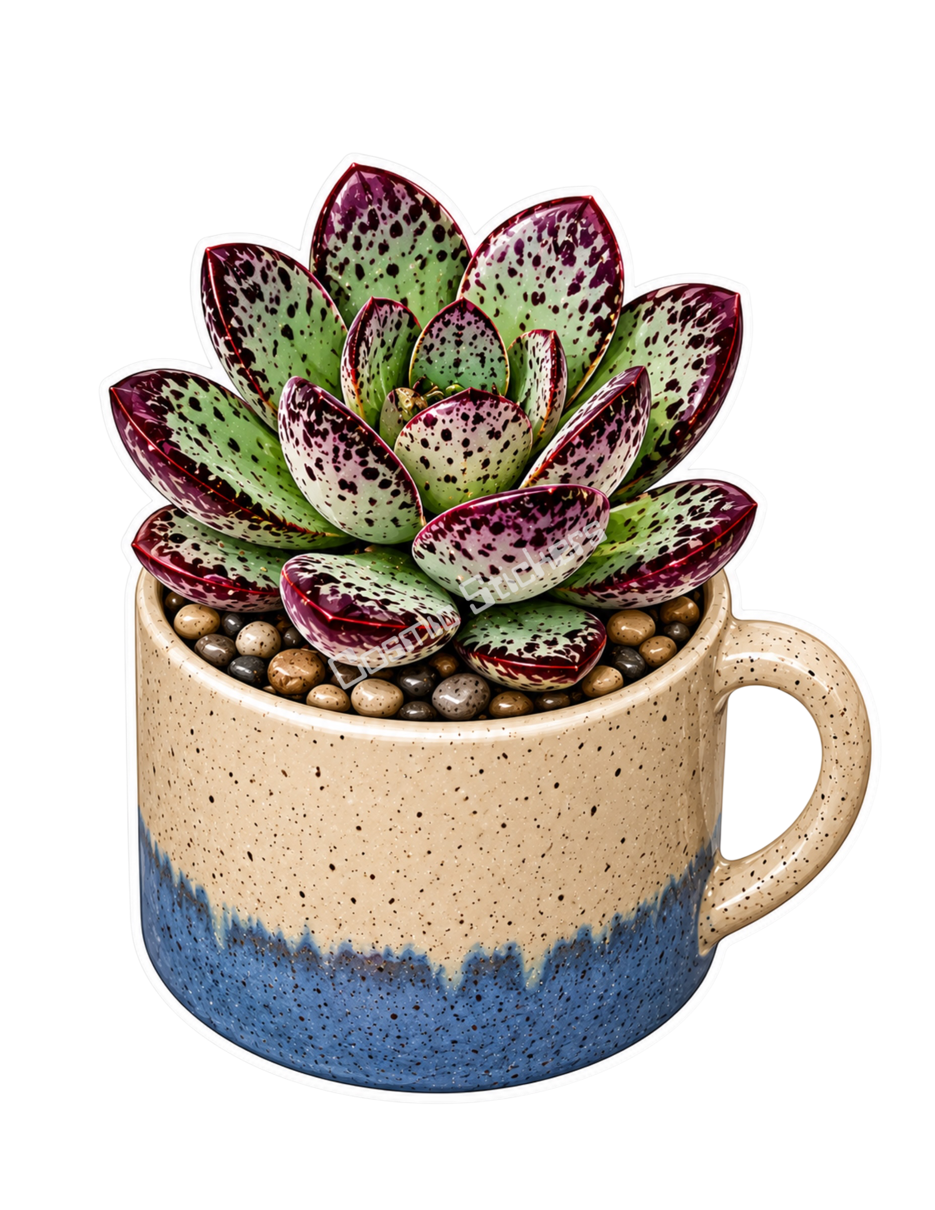 Cactus & Succulents #44