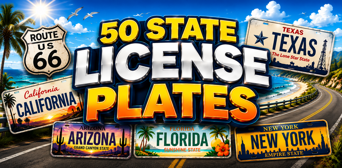 50 State License Plates