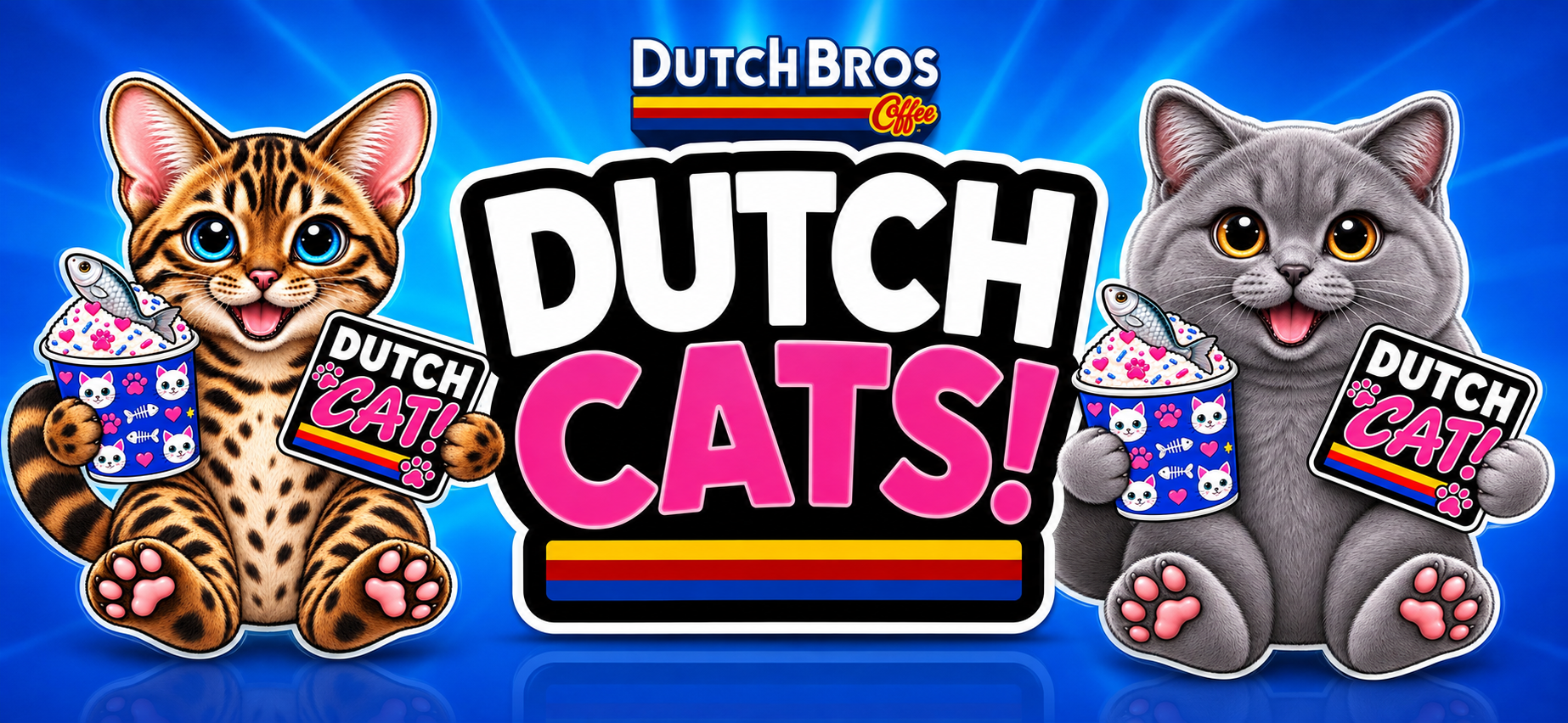Dutch Cats!