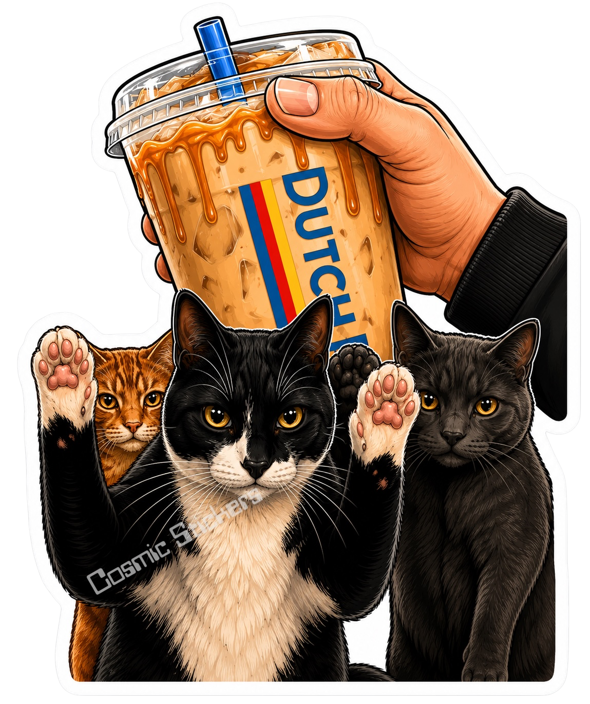 Viral TikTok Post of Cats Dancing to Dutch Iced Coffee