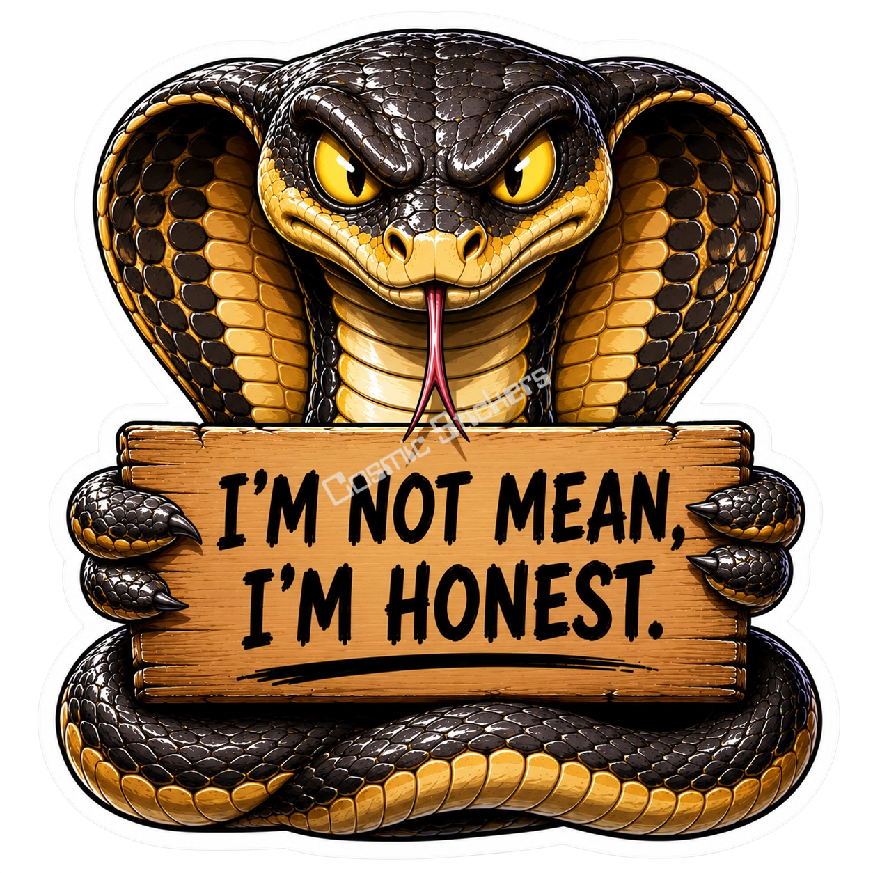 King Cobra with an Attitude
