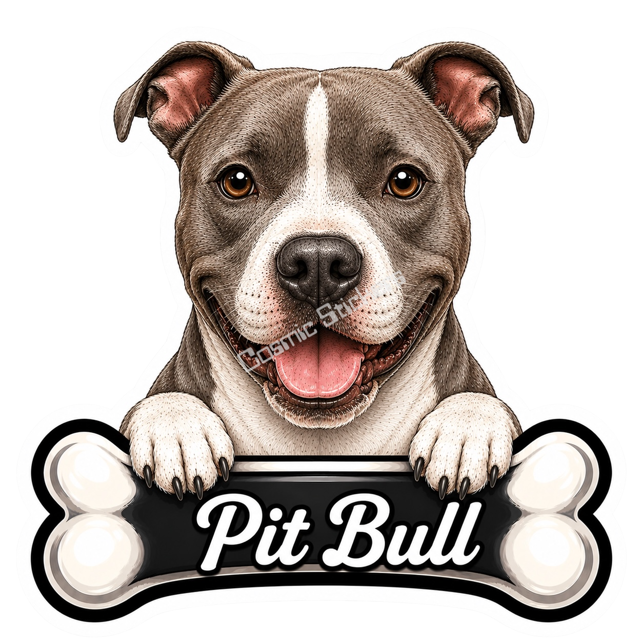 Pit Bull