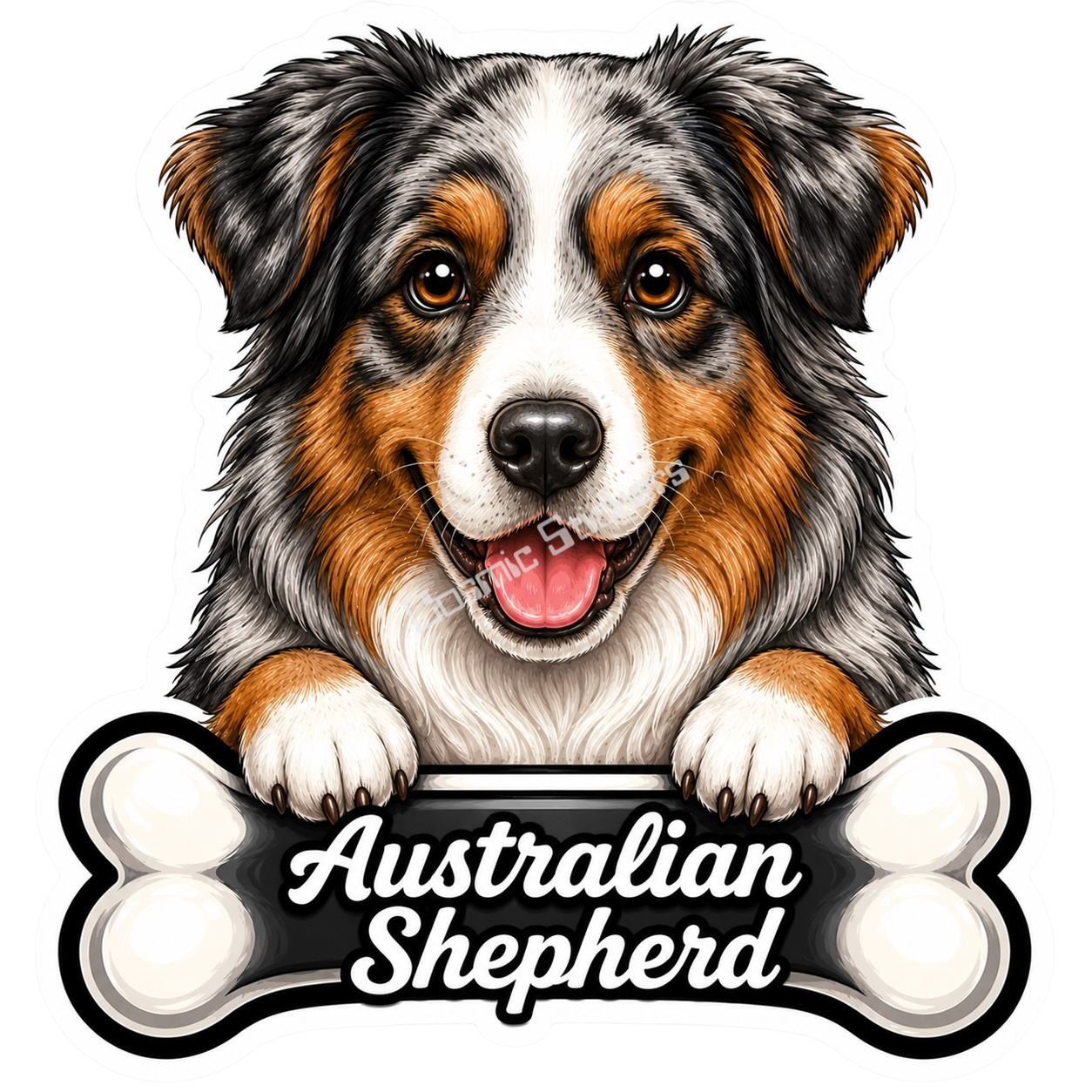 Australian Shepherd