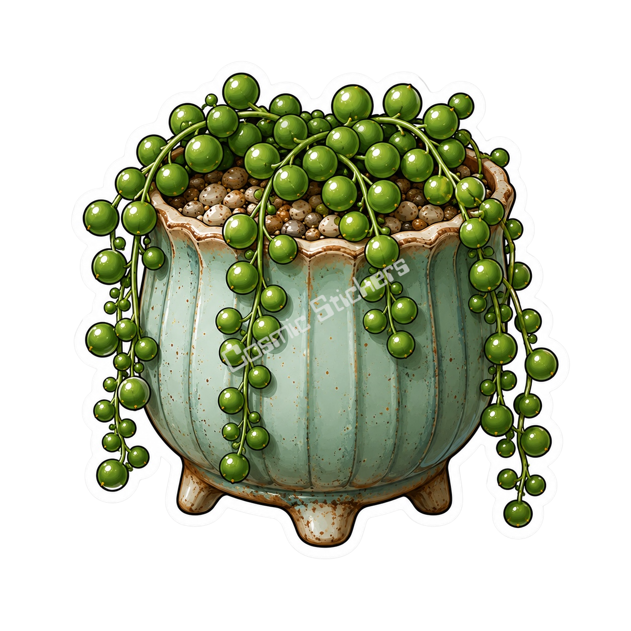 Cactus & Succulents #32