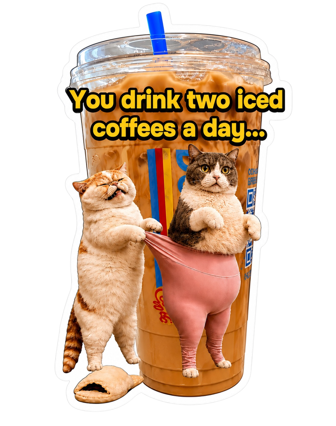 Viral TikTok Post of Two Cats Watching Their Weight
