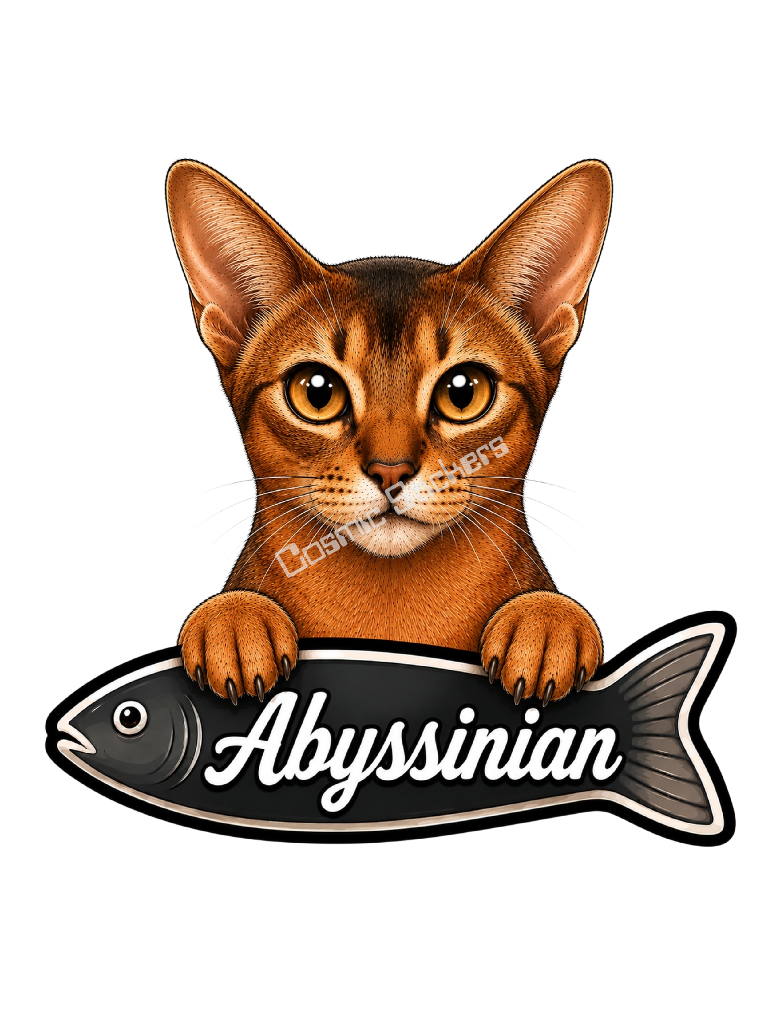 Abyssinian, Cat